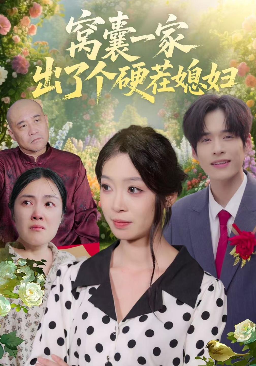 窝囊一家出了个硬茬媳妇(蓝光)