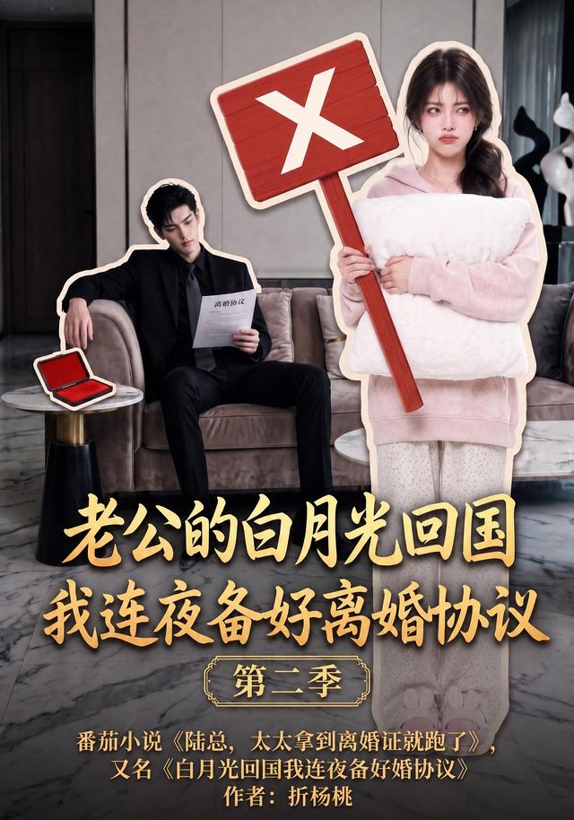 老公的白月光回国我连夜备好离婚协议第二季（蓝光）