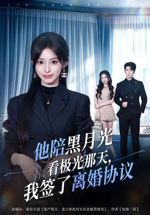 他陪黑月光看极光那天我签了离婚协议(4K)