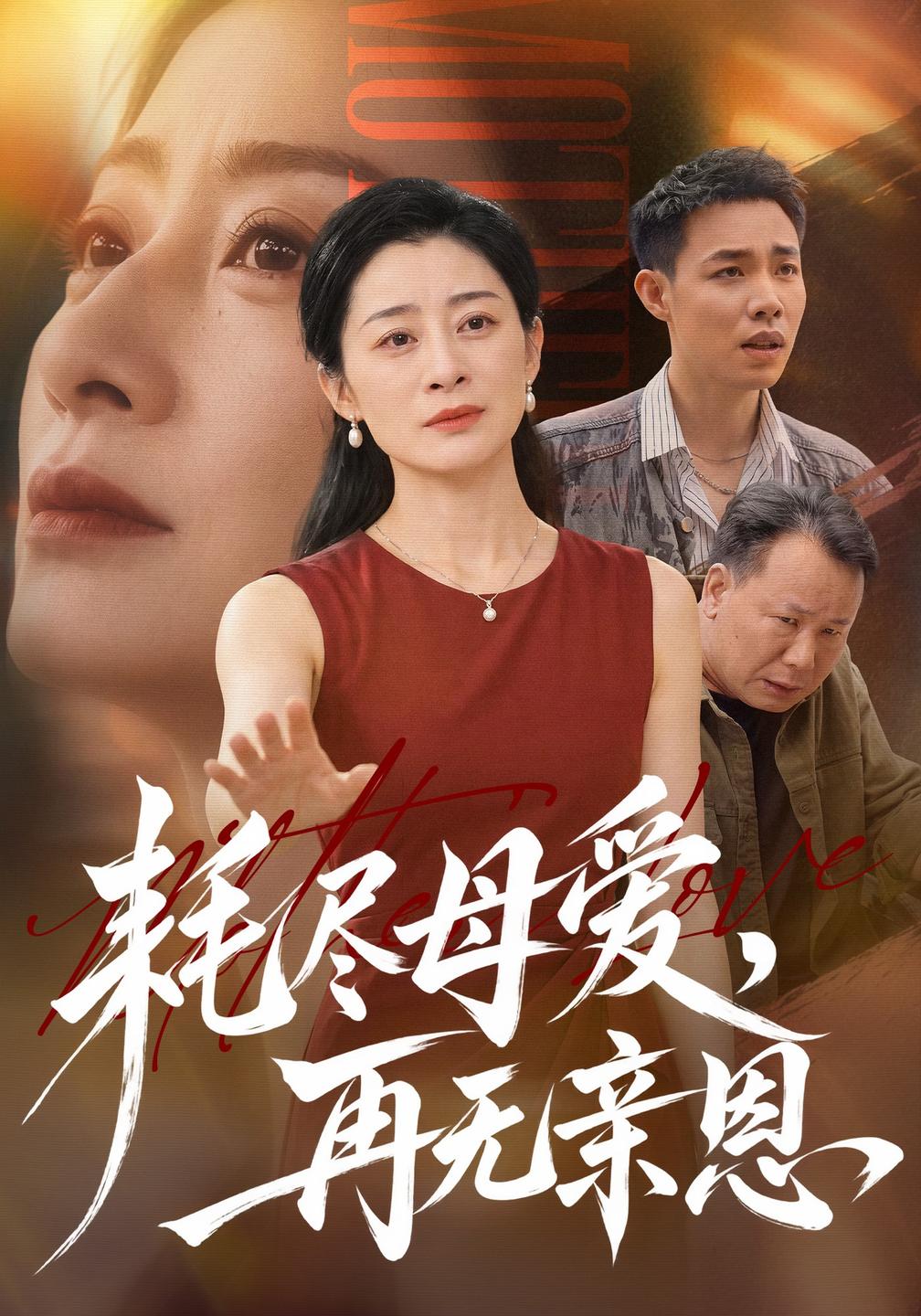 耗尽母爱再无亲恩（蓝光）
