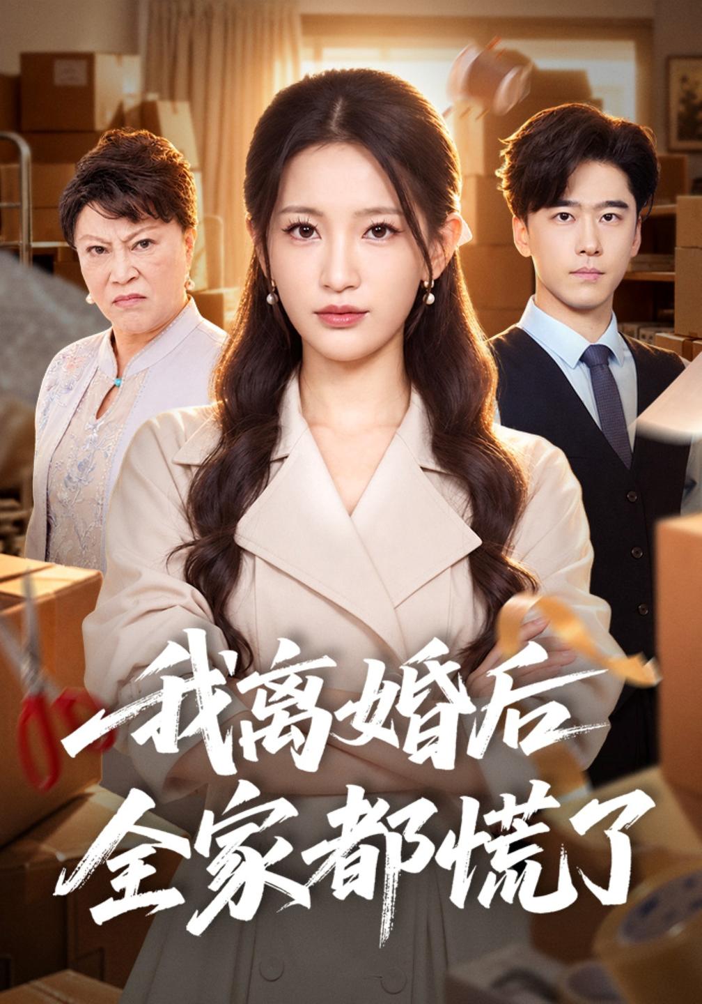 我离婚后全家都慌了（蓝光）