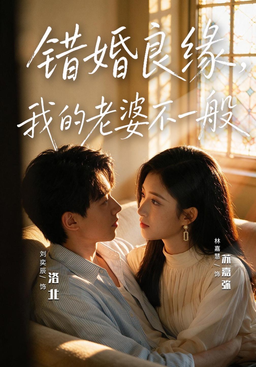 错婚良缘我的老婆不一般（蓝光）