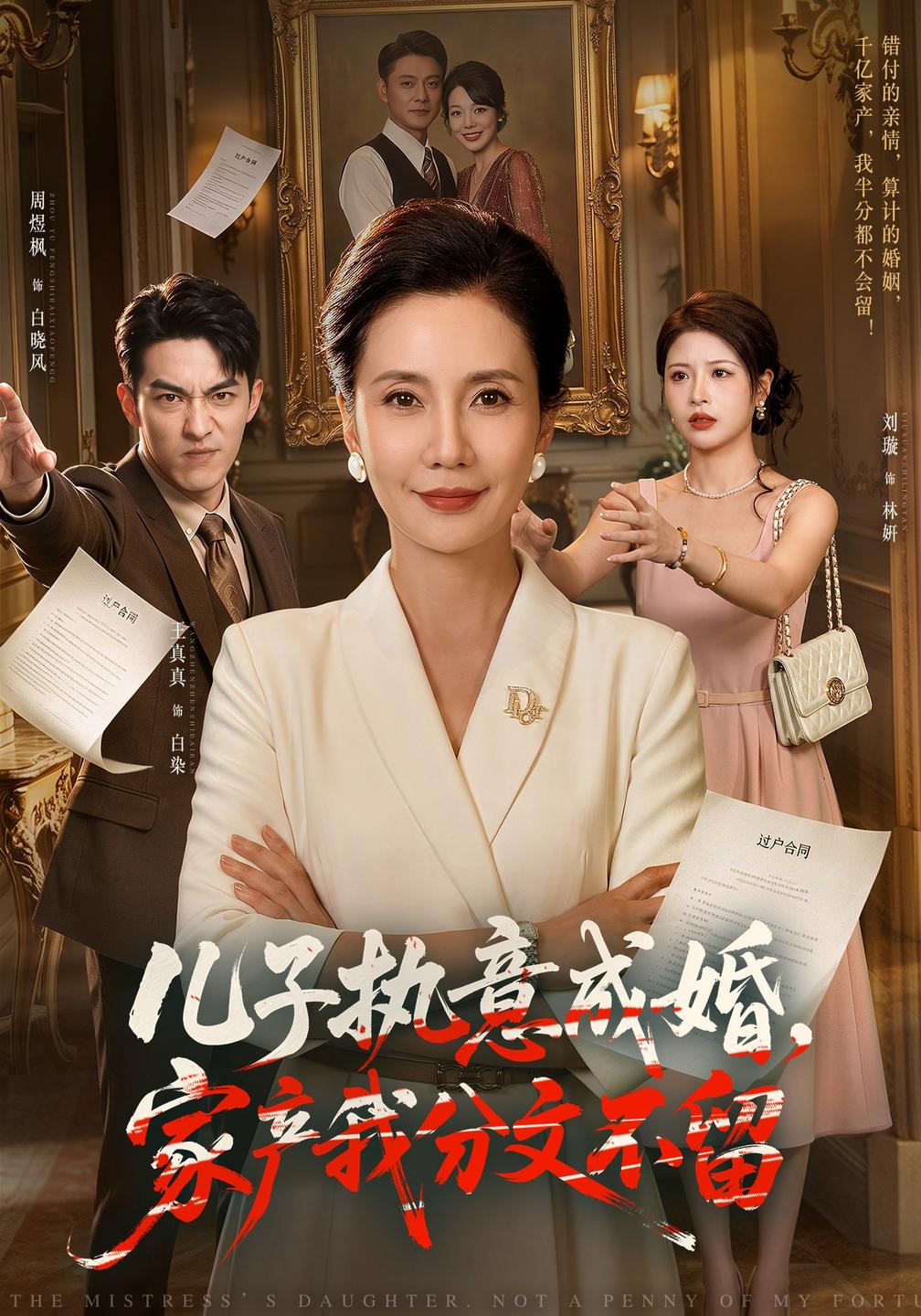 儿子执意成婚家产我分文不留（蓝光）