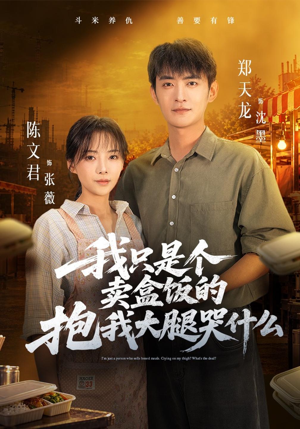 我只是个卖盒饭的抱我大腿哭什么（1080）