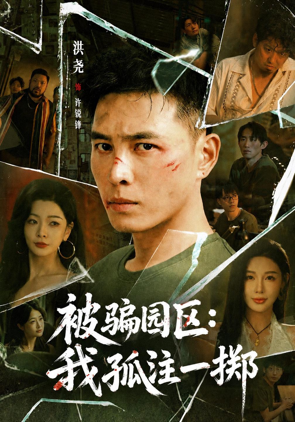 被骗园区我孤注一掷我被骗到缅北的那些年（蓝光）