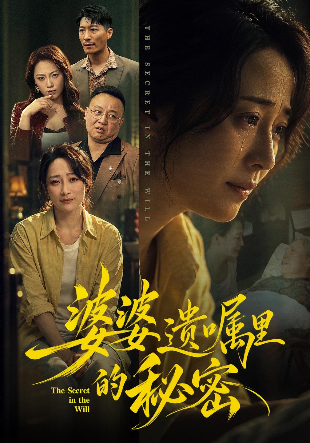 婆婆遗嘱里的秘密（1080）
