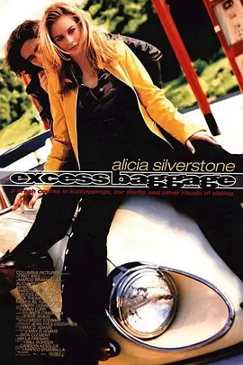 女笨贼计中计(蓝光)