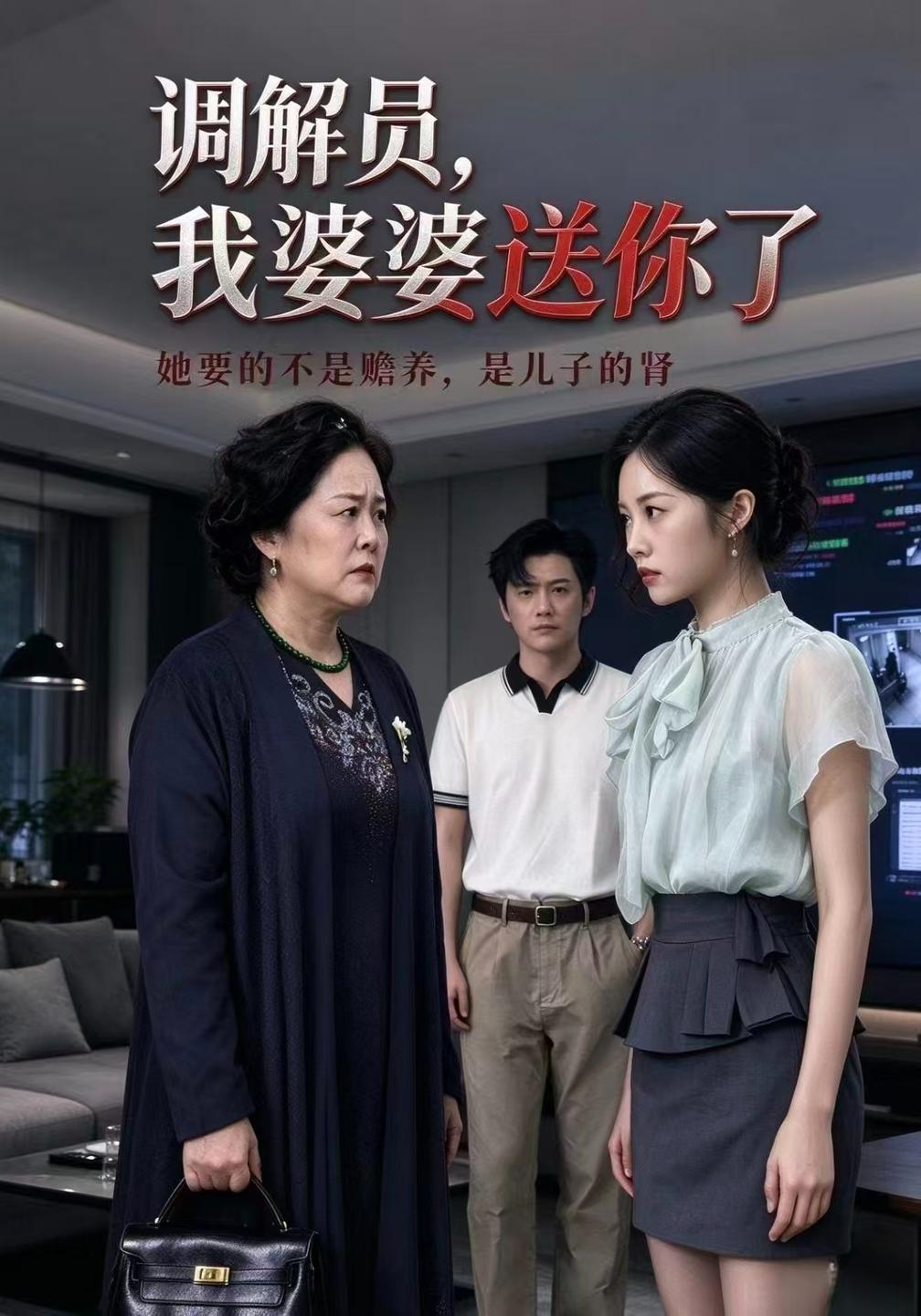 调解员我婆婆送你了（4K）