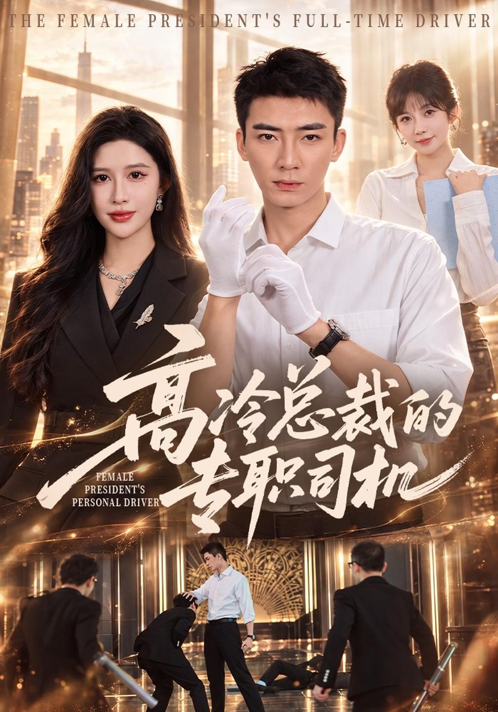 高冷总裁的专职司机（蓝光）
